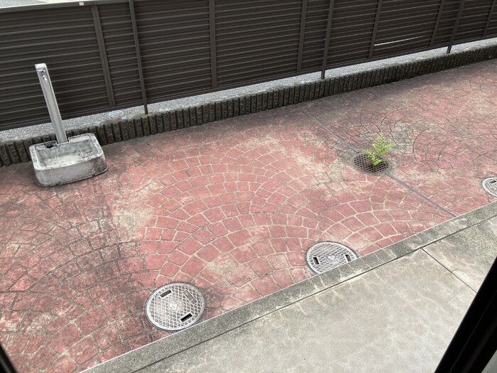 庭