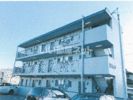 泉ハイツの間取り画像