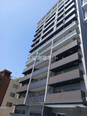 ウィステリアフロリバンダの外観画像