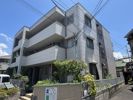 メゾン河村の間取り画像