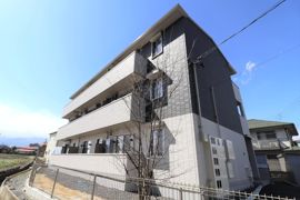 ラピスラズリの外観画像