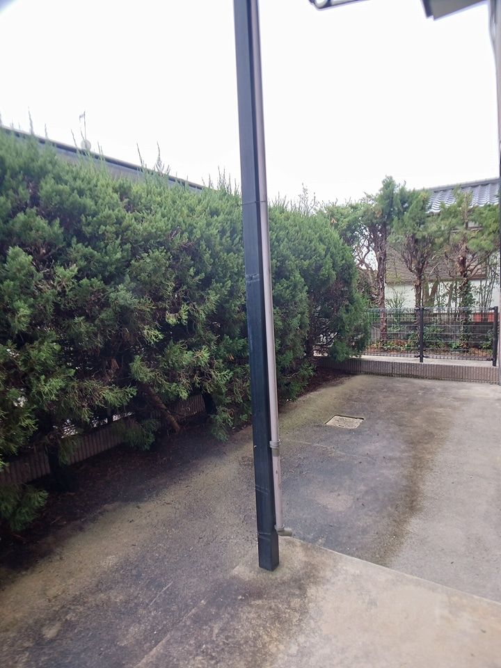 庭