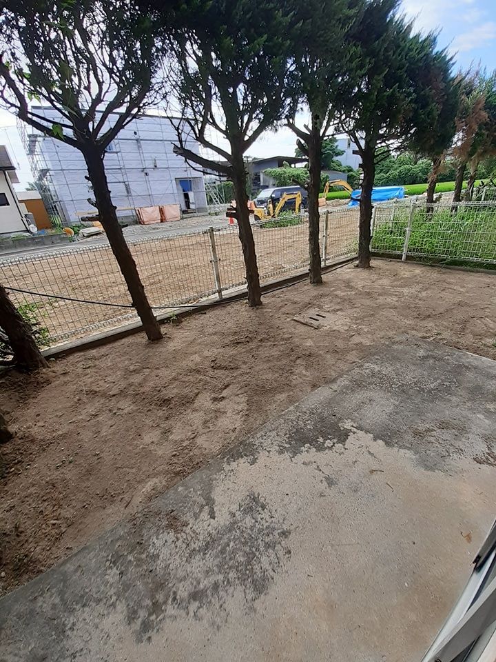 庭