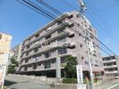 ベルジュ成子坂の間取り画像