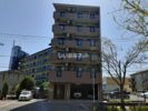 アベニュー美園の間取り画像