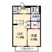 シャーメゾン グレースC棟の間取り画像