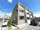 Blossom 大江の間取り画像