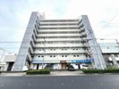 リアライズ浜松の外観