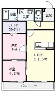 M Ricci（エムリッチ）の間取り画像