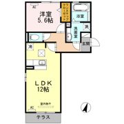 メゾン カシオペアの間取り画像