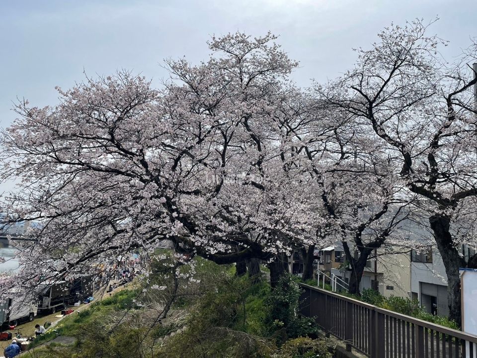 近くに施設あり
