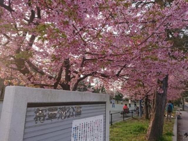 近くに施設あり