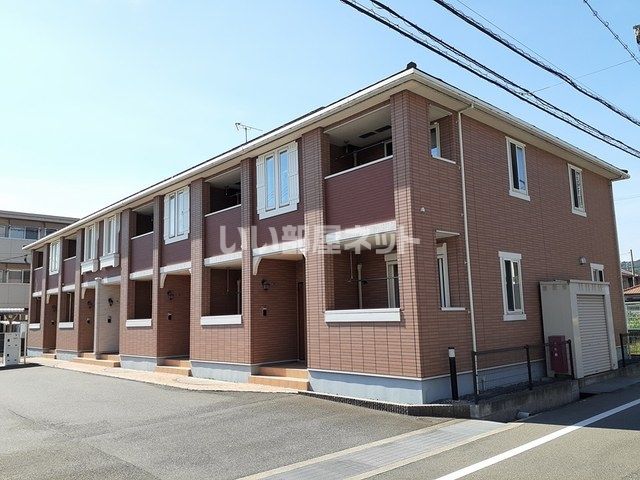 クランベリーの外観画像