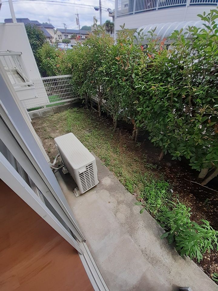 庭