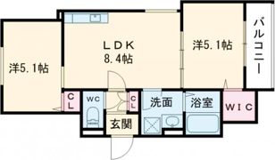 クリエオーレ錦町の間取り画像