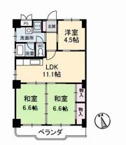 真締川ハイツの間取り画像