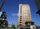 ライオンズマンション東一万の間取り画像