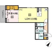 メゾン フレールの間取り画像