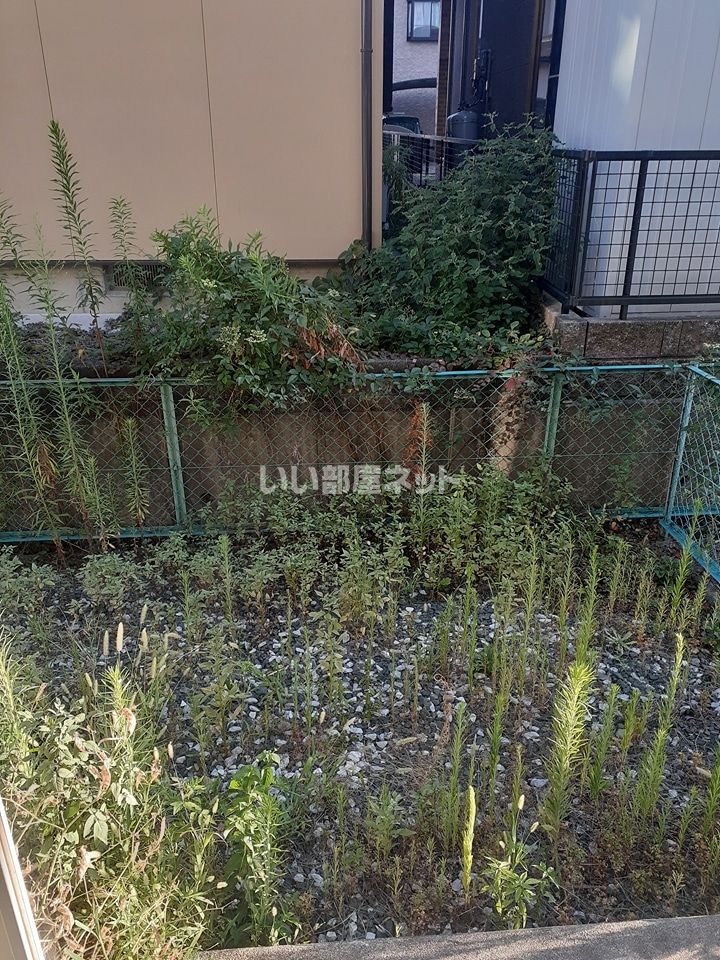 庭