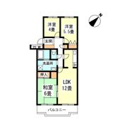 近藤マンションの間取り画像