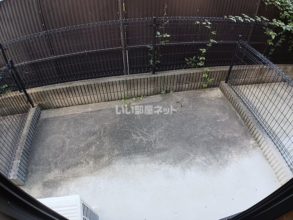庭