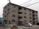 ベルウッド和泉の間取り画像