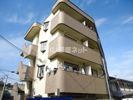 シャンテー甲斐田の間取り画像