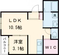 Major大津Ⅱの間取り画像