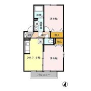 シャルマンわかば C棟の間取り画像