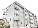 クレールドミーゼの間取り画像