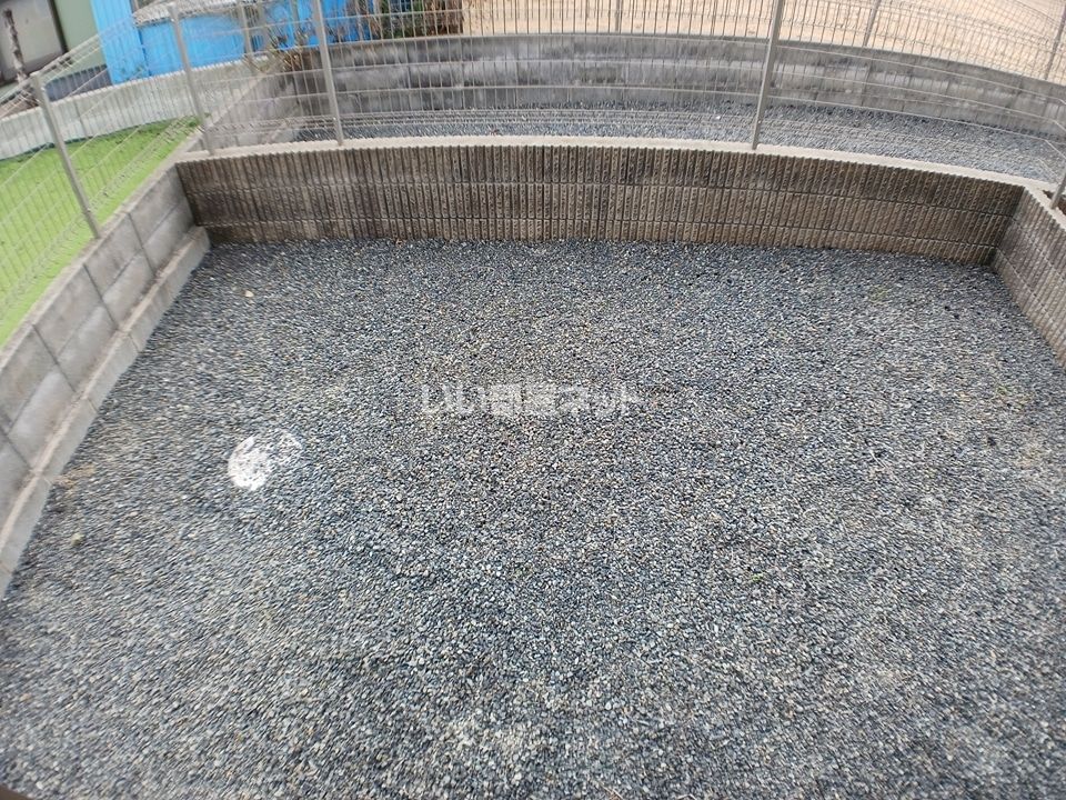 庭