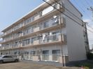 西飾磨ハイツの間取り画像
