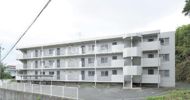 パシフィックハイツの間取り画像