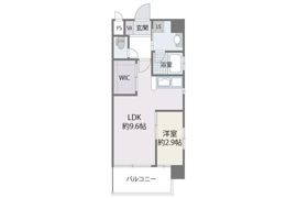 DSタワー平尾駅前レジデンスの間取り画像