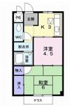 コスモハイツの間取り画像