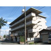 コーポニュー中川の外観画像
