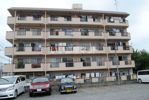 ソフト第一河辺マンションの間取り画像