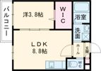 シエーナ若江岩田の間取り画像