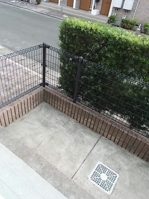 庭