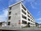 雅泉荘ビルの間取り画像