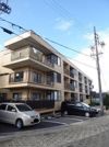 ライオンズマンション虹ヶ丘ガーデン参番館の間取り画像