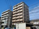 ファレノプシスの間取り画像