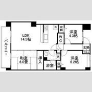 セントレアカマⅤの間取り画像
