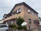 ドミールSの間取り画像