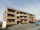 エムロード(エムロード)の間取り画像