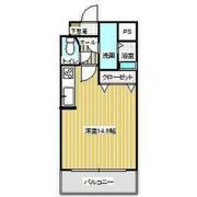 大安ヒルズの間取り画像
