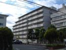 テルツォ南新在家の間取り画像