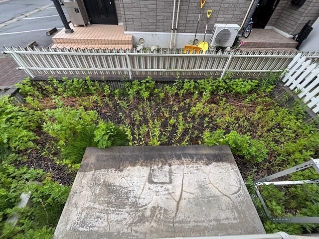 庭
