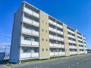 ビレッジハウス立江1号棟の外観画像