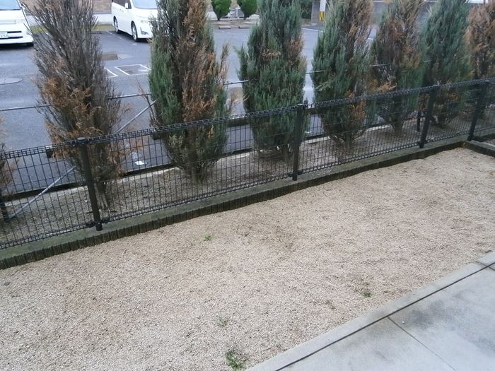 庭